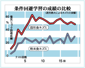 電気的なショックを与える装置を避けて迷路を脱出する学習結果